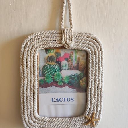 Chambre Chez L'Habitant "Cactus" Une, Deux Ou Trois Personnes Derval المظهر الخارجي الصورة